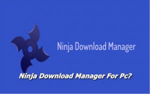 ninja download manager 46 pro crack